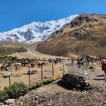 Salkantay Trek