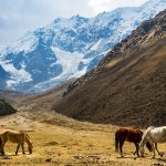 Peru Trek