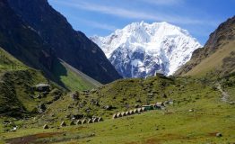 Salkantay trekking near Cusco, Peru