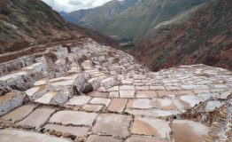 maras 1