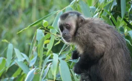 Manu National Park 2 Days Tour 5