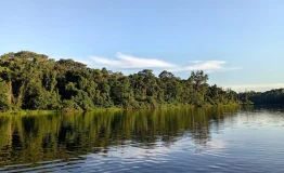 Biodiversidad Parque Nacional del Manu