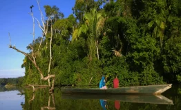Cusco to Manu National Park Sandoval Lake