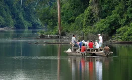 activity in Manu National Park