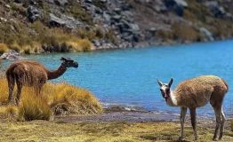 ausangate trekking peru