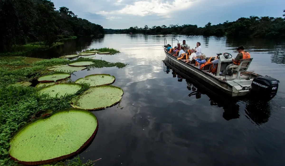 Amazon river
